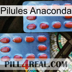 Anaconda Pills 05